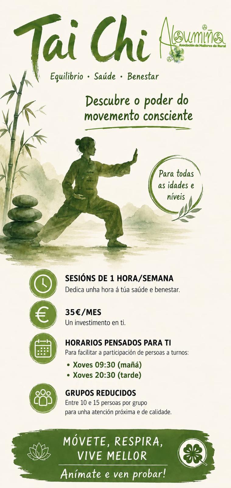Cartel Informativo Oficial de Tai Chi - Asociación Aloumiña